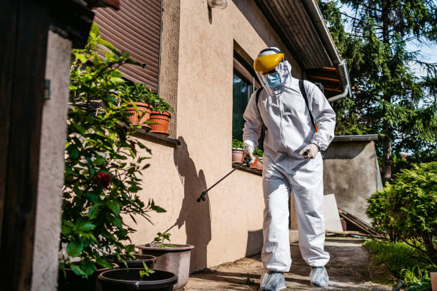 Best Termite Control Services  in Highland Falls, NY