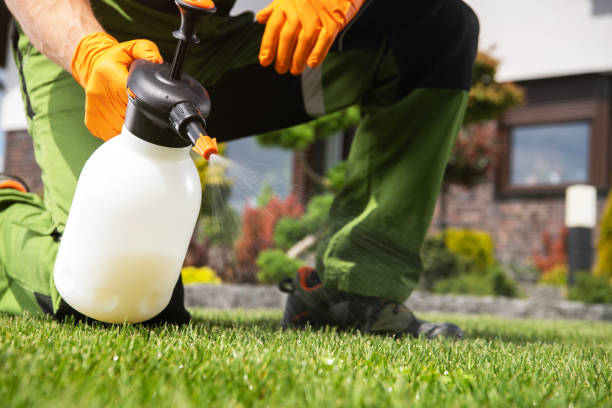 Best Residential Pest Control  in Highland Falls, NY
