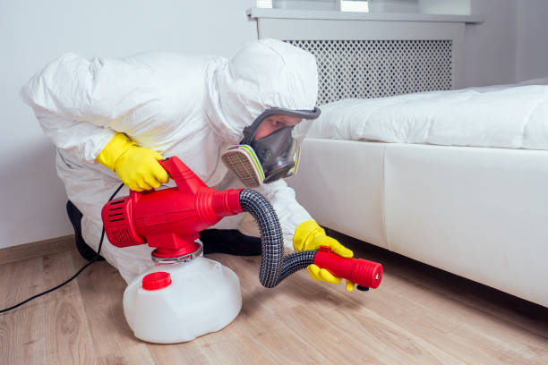 Best Pest Control Near Me in Highland Falls, NY