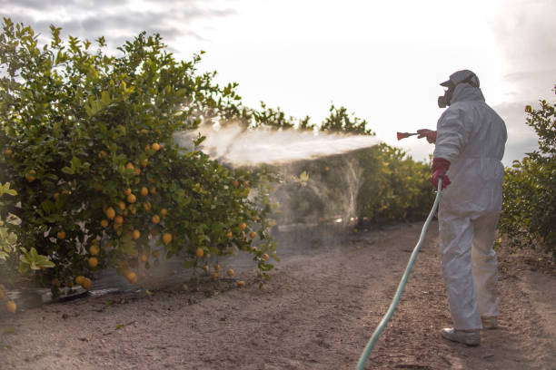 Best Bed Bug Extermination  in Highland Falls, NY