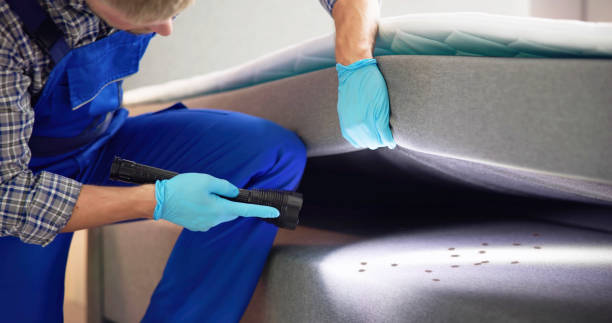 Professional Pest Control in Highland Falls, NY