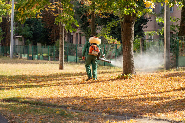 Reliable Highland Falls, NY Pest Control Solutions