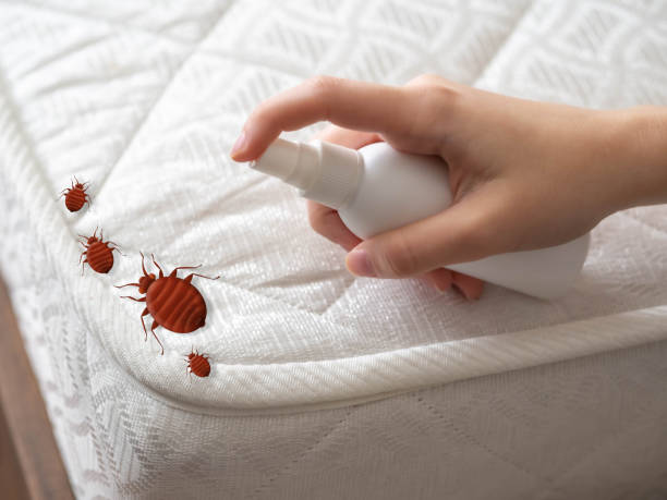 Best Ant Control Services  in Highland Falls, NY
