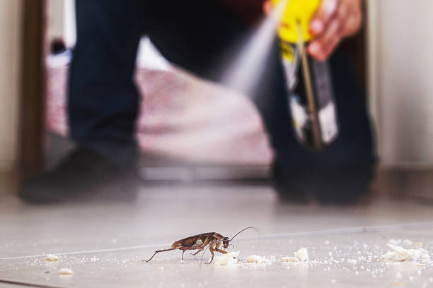 Best Wasp Removal Services  in Highland Falls, NY