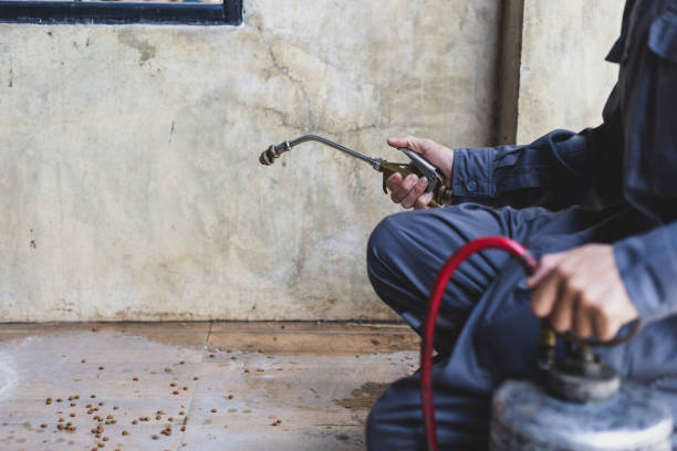 Best Affordable Pest Control Services  in Highland Falls, NY