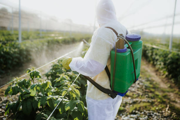 Best Affordable Pest Control Services  in Highland Falls, NY